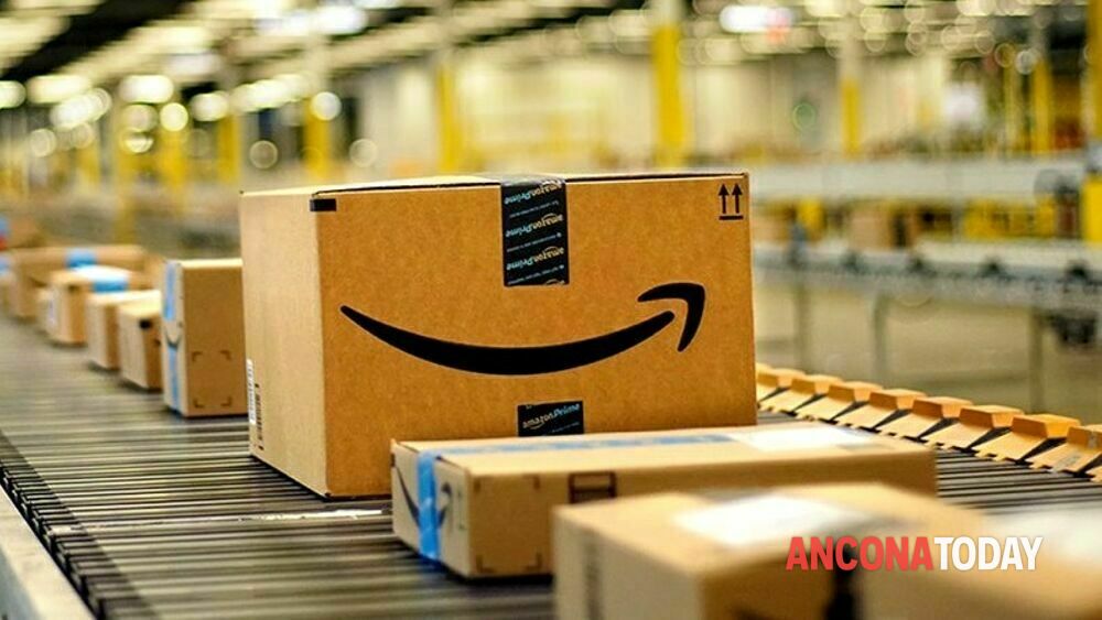 amazon-3.jpg