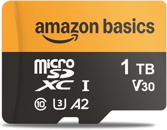 Amazon Basics Scheda microSDXC da 1 TB con Adattatore