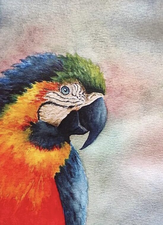 Disegni d'Arte di Giulia Casagrande